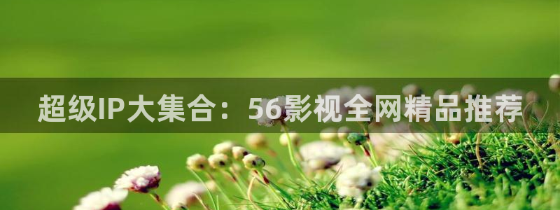 飘零影院电影电视剧免费观看：超级IP大集合：56影视全网精品推荐
