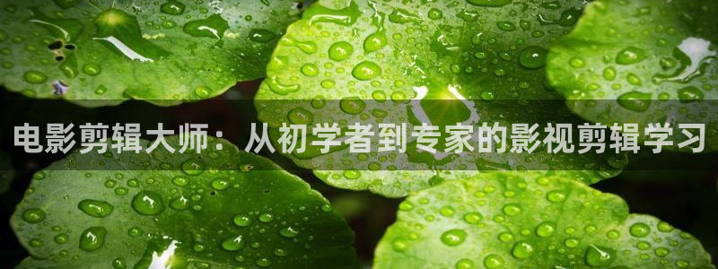妈妈的朋友2飘零影院
