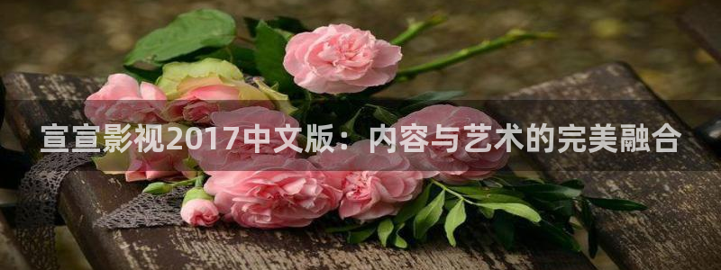 飘零电影院理论片：宣宣影视2017中文版：内容与艺术的完美融合