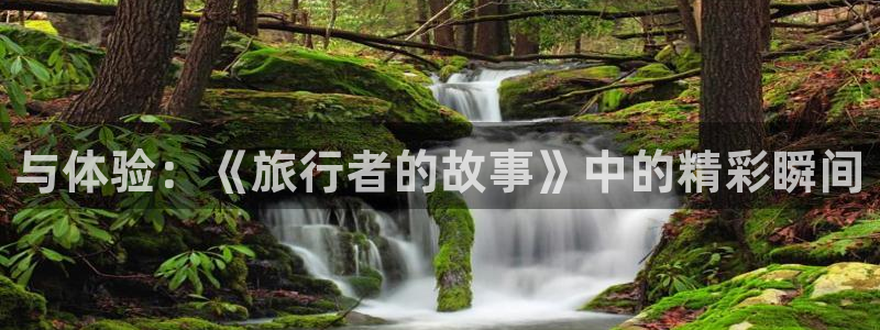 飘零影院在线看