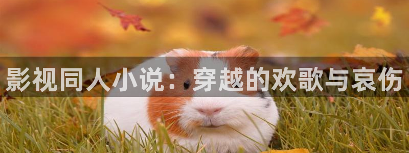 飘零影院首页