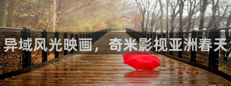 飘零午夜电影