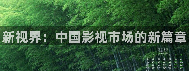 飘零电影网手机观看