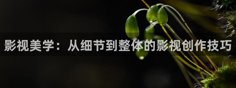 飘零未来影院