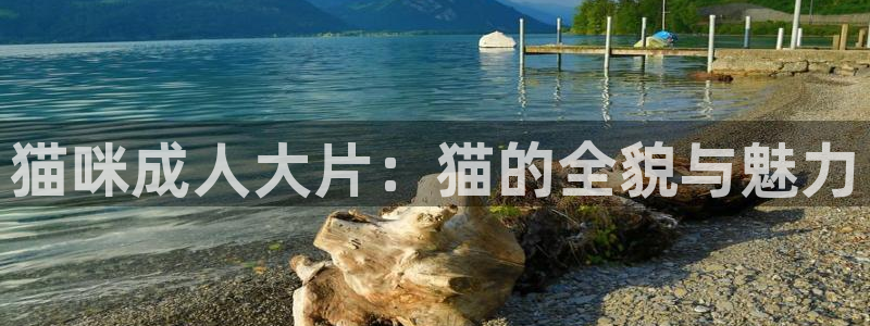 飘零在线影院