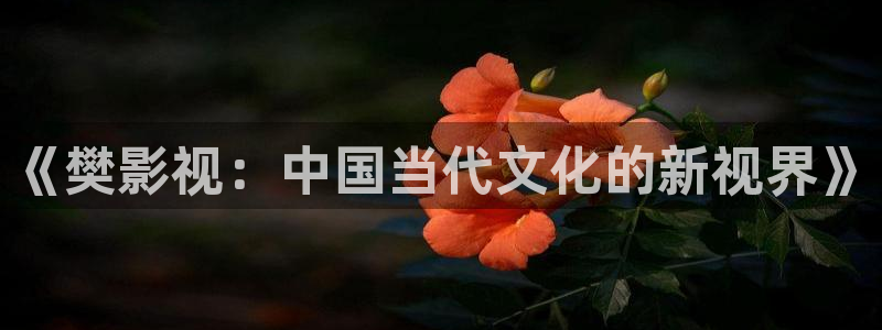妈妈的朋友2飘零影院